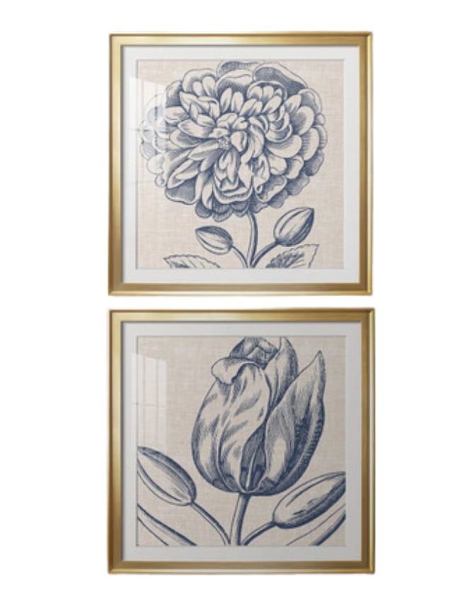 Two framed botanical prints with gold frames, perfect for classic cozy living room decor, each featuring a detailed blue floral illustration on a beige background—one with a blooming flower, the other with a closed bud and leaves.