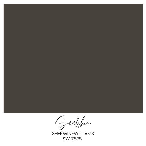 A color swatch displaying a deep, dark brown shade labeled "Sealskin" by Sherwin-Williams, SW 7675. The color name and brand information appear below the swatch in black text.