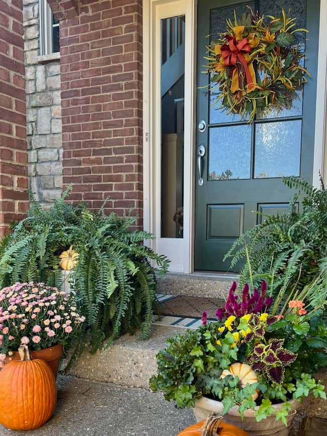 A welcoming front porch with a dark green front door decorated with a fall wreath, surrounded by lush ferns, potted flowers, and pumpkins creates a festive autumn display with a classic look.