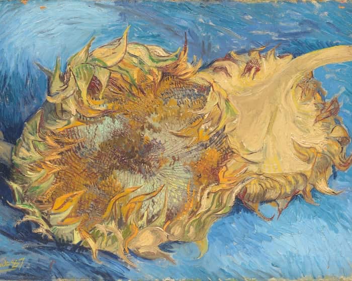 A close-up of a large, wilted sunflower lying on its side against a swirling blue background, painted with thick, textured brushstrokes in yellows, greens, and browns—perfect for those seeking free fine art prints.