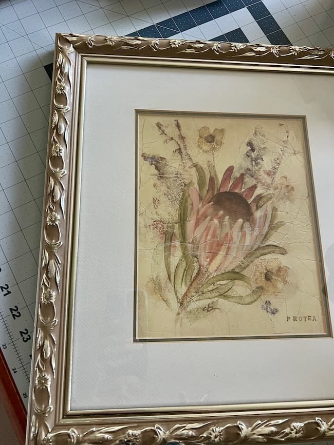 A framed botanical illustration of a protea flower with green leaves and a muted background, placed on a grid-patterned cutting mat with measuring marks along the edge—perfect inspiration for those searching for free fine art prints.